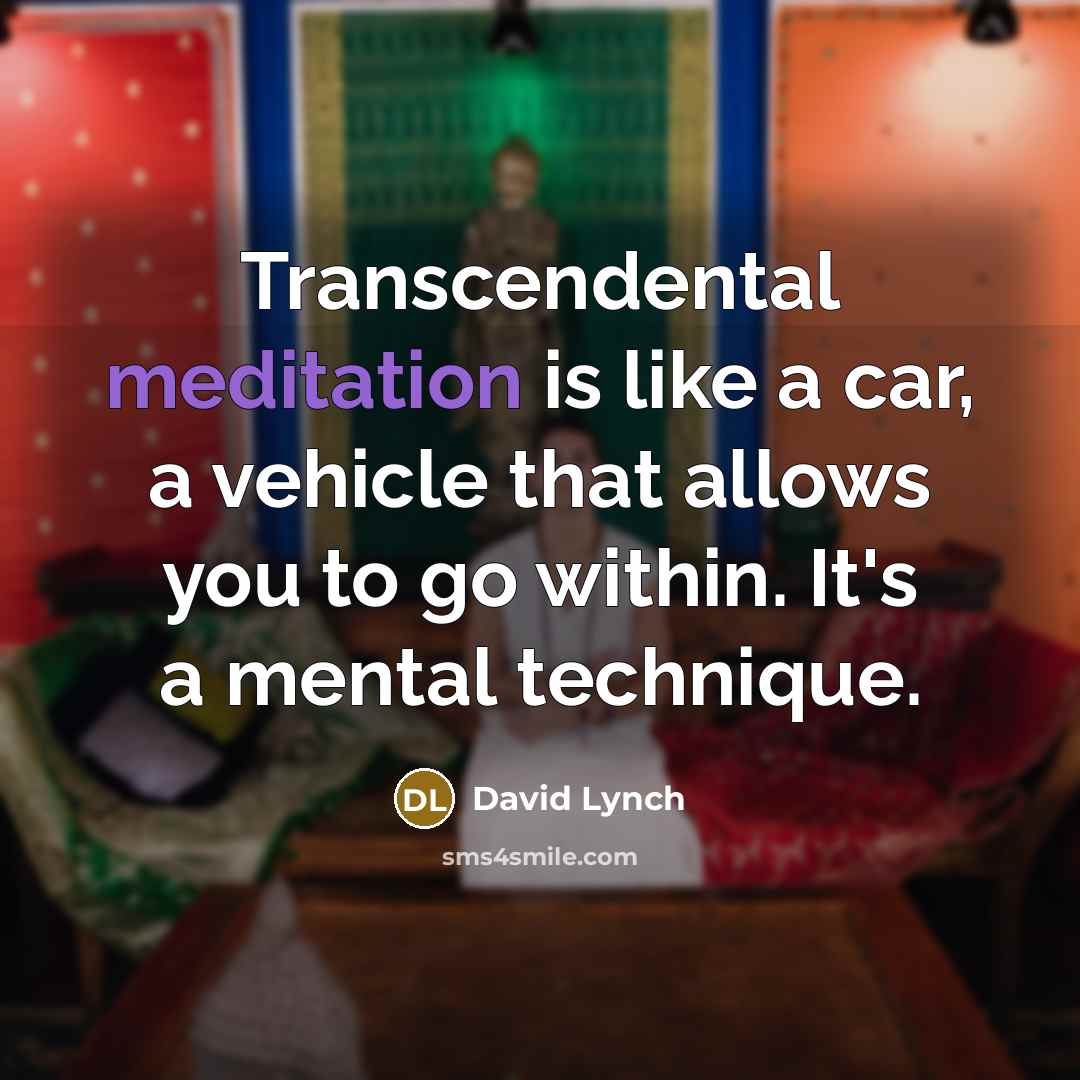 “Transcendental meditation is like a car, a vehicle that allows…” quote by David Lynch