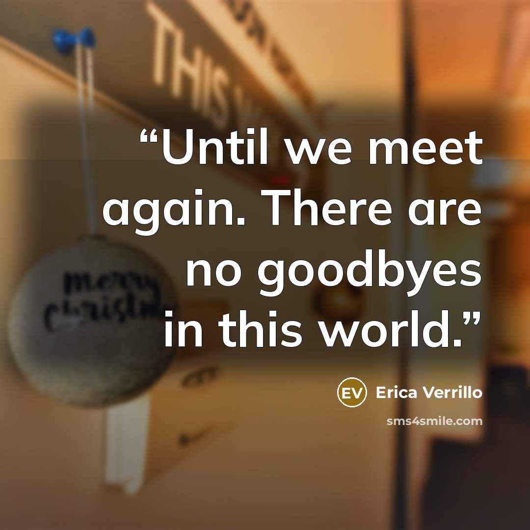 “Until we meet again. There are no goodbyes in this world.” quote by Erica Verrillo