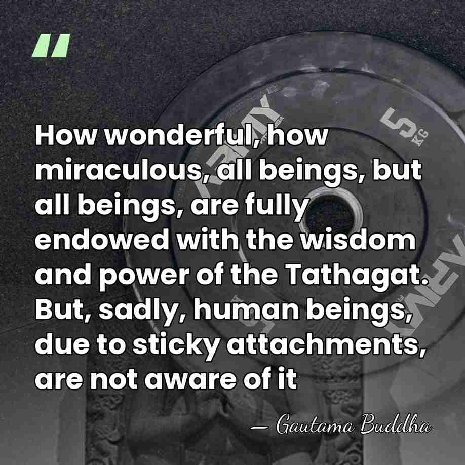How wonderful, how miraculous, all beings, but all beings, are fully endowed&hellip; - Gautama Buddha