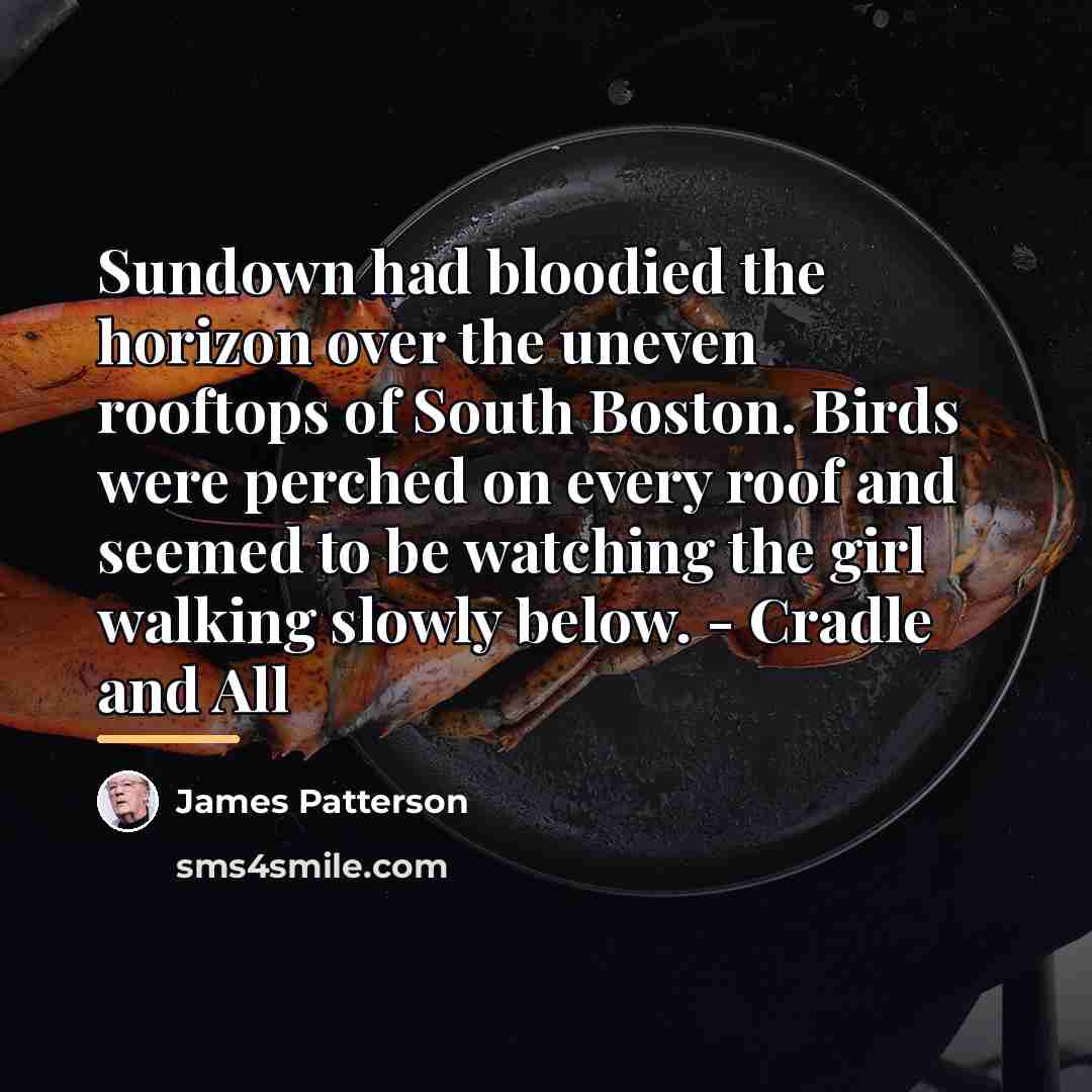 “Sundown had bloodied the horizon over the uneven rooftops of…” quote by James Patterson