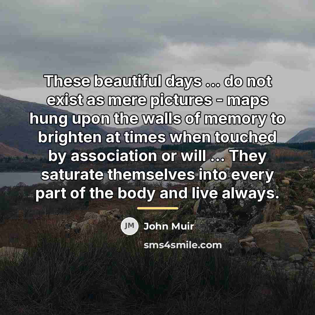“These beautiful days ... do not exist as mere pictures…” quote by John Muir