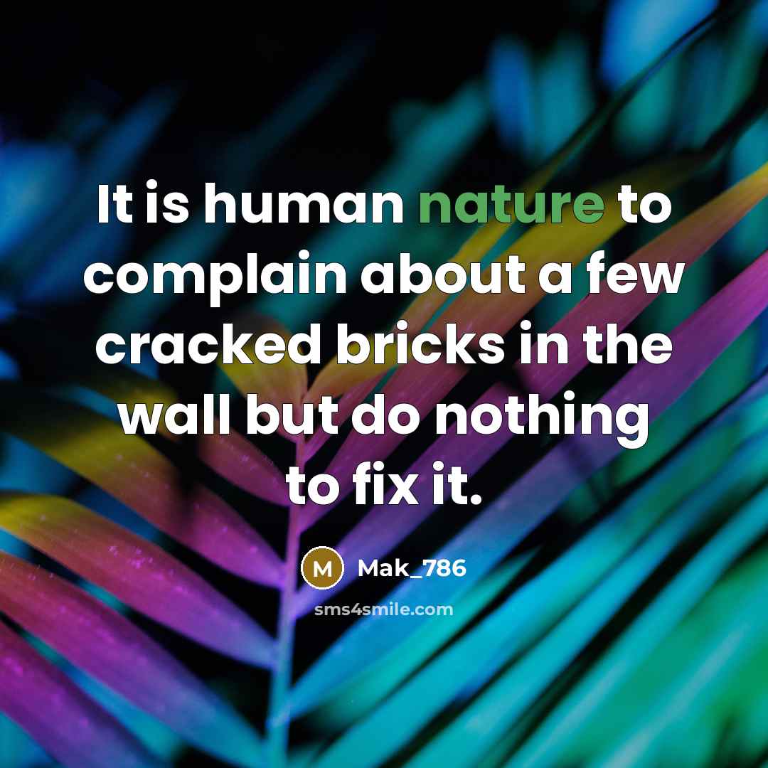 “It is human nature to complain about a few cracked bricks in the wall but do nothing to fix it.” quote by Mak_786