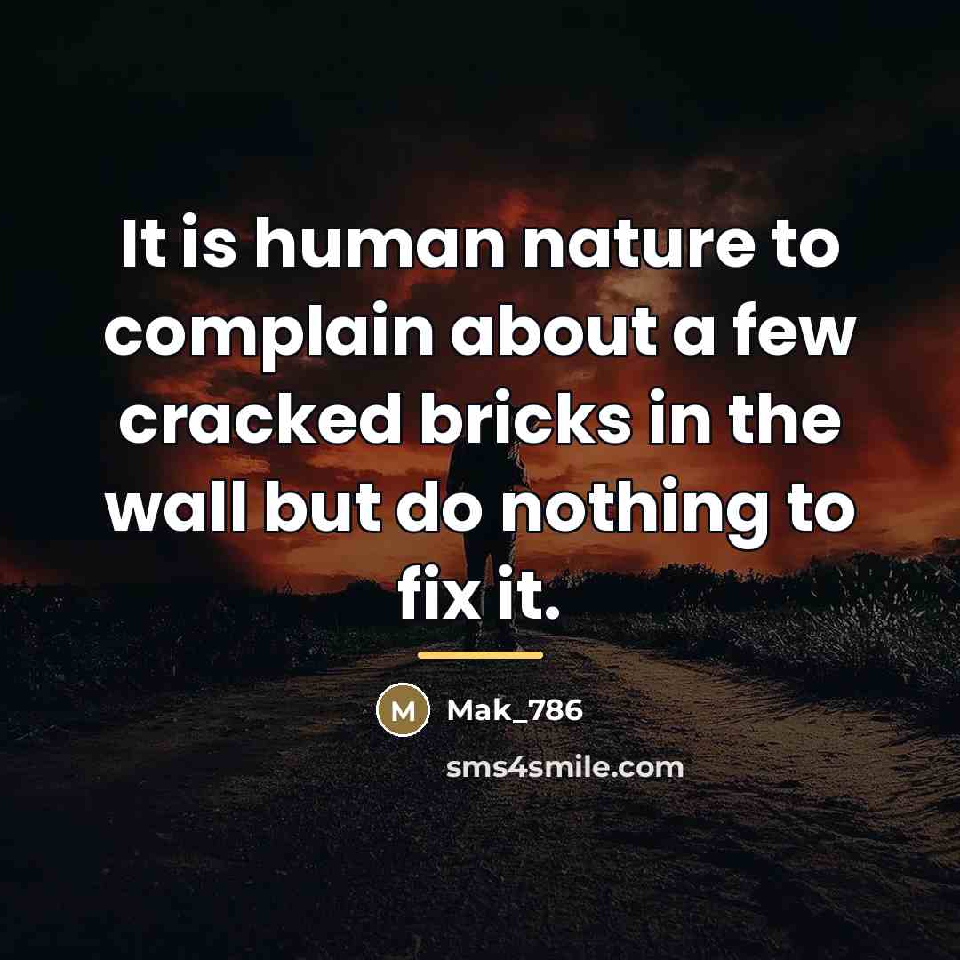 “It is human nature to complain about a few cracked…” quote by Mak_786