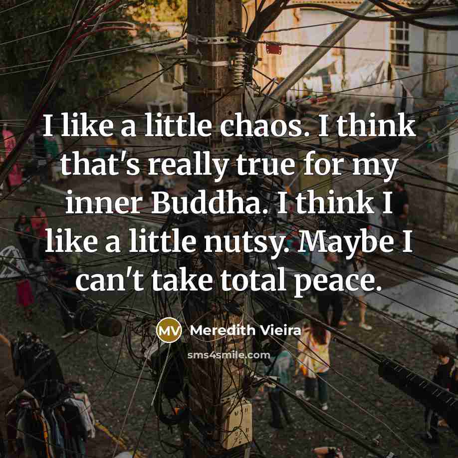 “I like a little chaos. I think that's really true…” quote by Meredith Vieira