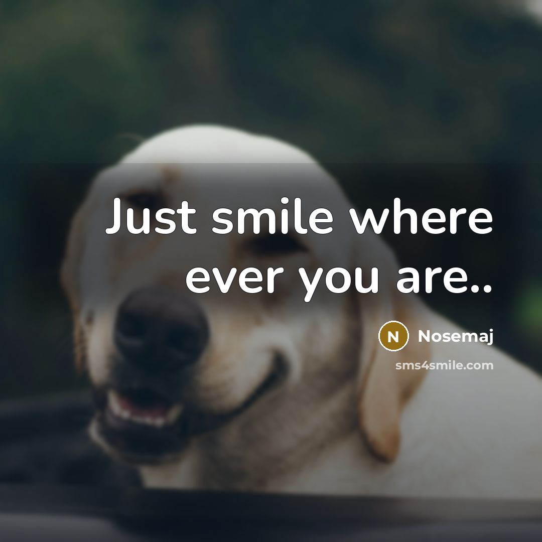 “Just smile where ever you are..” quote by Nosemaj