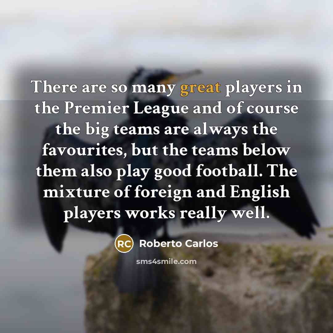 “There are so many great players in the Premier League…” quote by Roberto Carlos