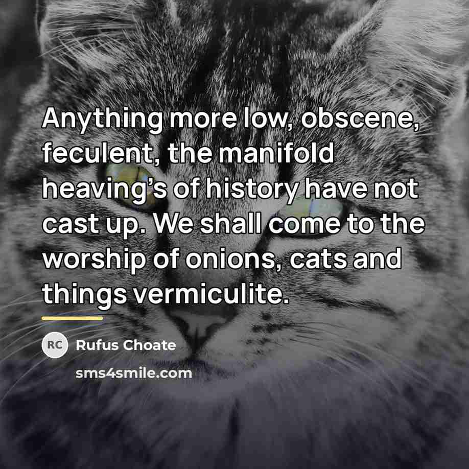 “Anything more low, obscene, feculent, the manifold heaving's of history…” quote by Rufus Choate