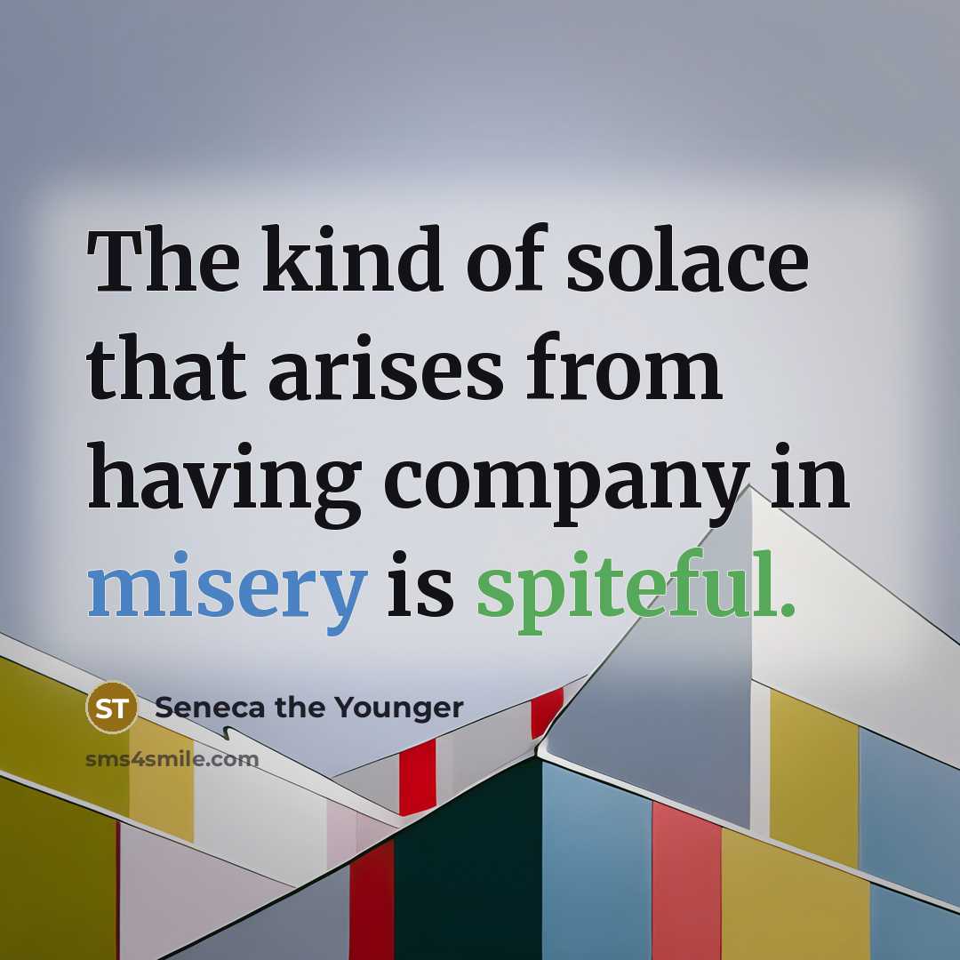 “The kind of solace that arises from having company in…” quote by Seneca the Younger