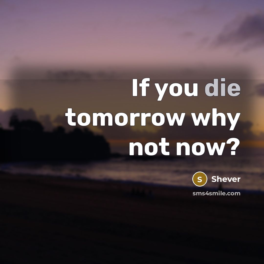 “If you die tomorrow why not now?” quote by Shever