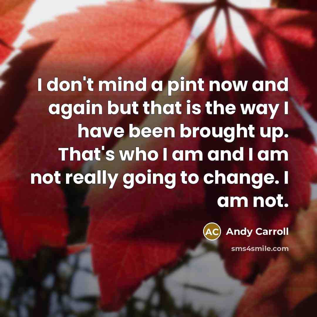 “I don't mind a pint now and again but that…” quote by Andy Carroll