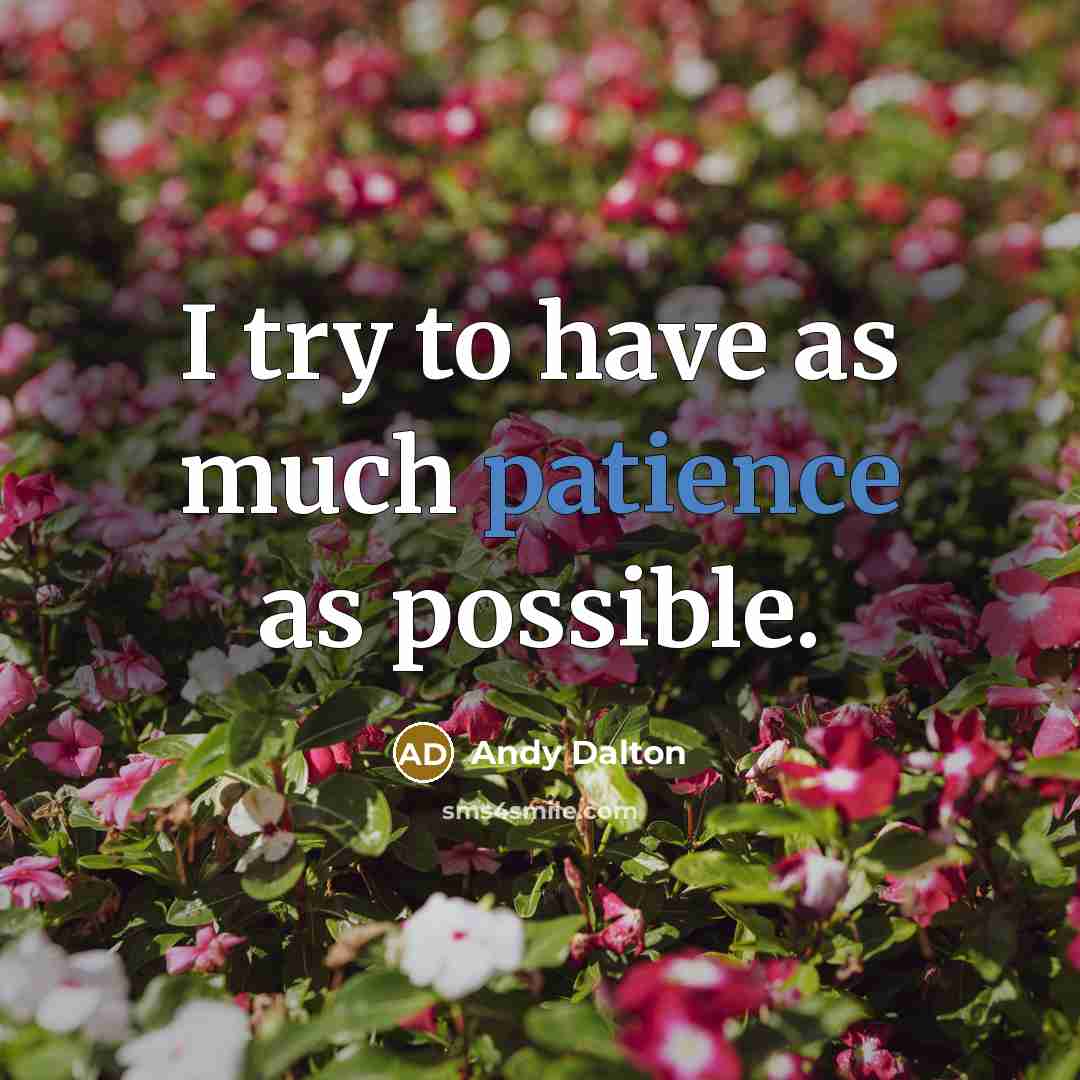 “I try to have as much patience as possible.” quote by Andy Dalton