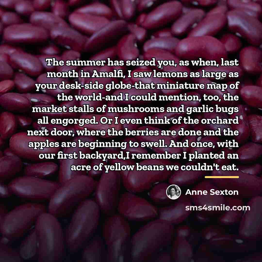 “The summer has seized you, as when, last month in…” quote by Anne Sexton