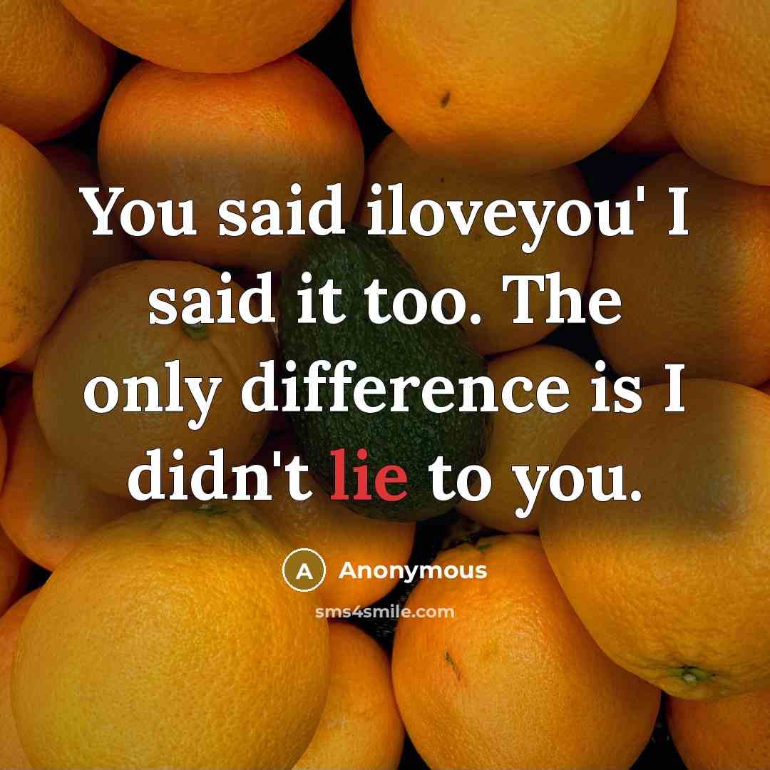 “You said iloveyou' I said it too. The only difference is I didn't lie to you.” quote by Anonymous