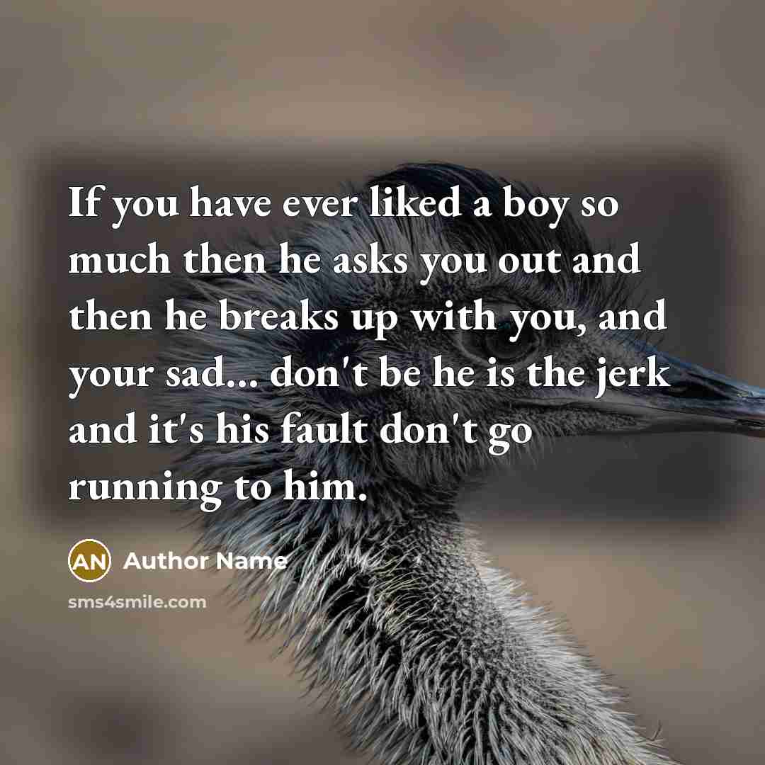 “If you have ever liked a boy so much then…” quote by Author Name