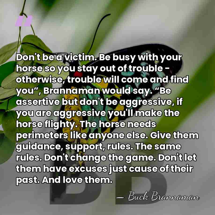 Don't be a victim. Be busy with your horse so you stay&hellip; - Buck Brannaman