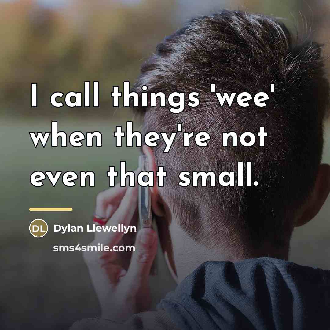 “I call things 'wee' when they're not even that small.…” quote by Dylan Llewellyn