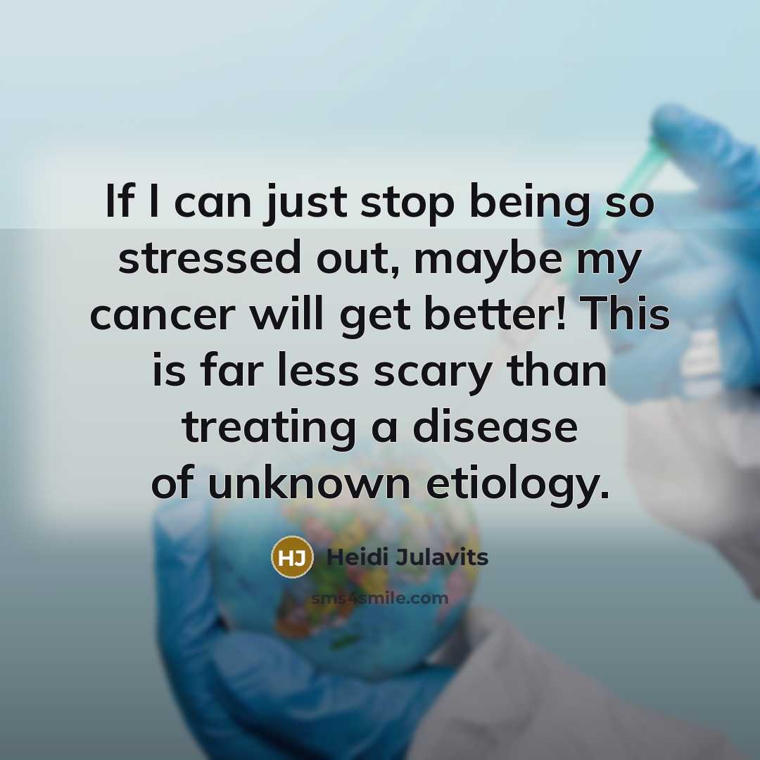 “If I can just stop being so stressed out, maybe…” quote by Heidi Julavits