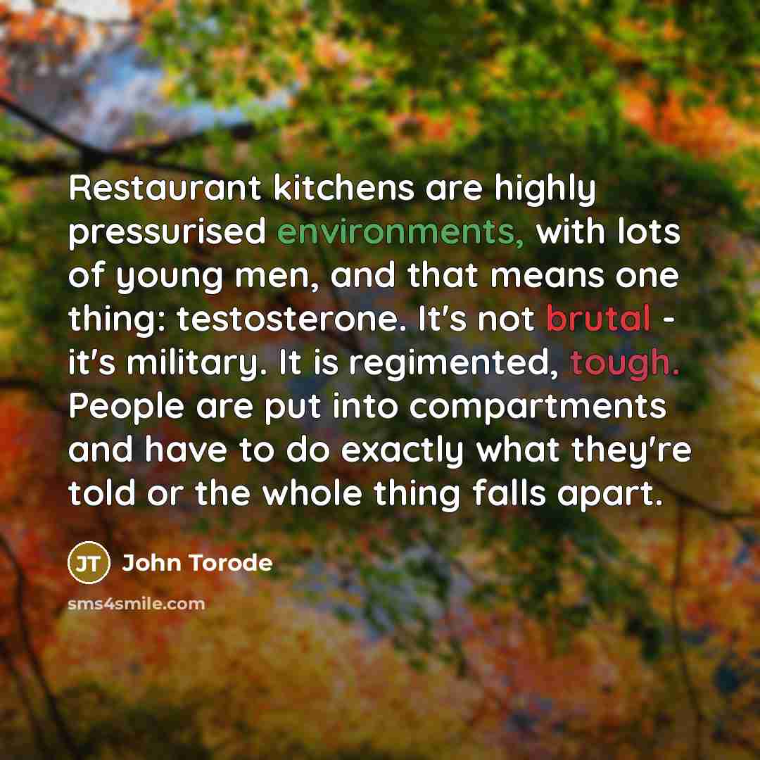 “Restaurant kitchens are highly pressurised environments, with lots of young men, and that means one thing: testosterone. It's not brutal - it's military. It is regimented, tough. People are put into compartments and have to do exactly what they're told or the whole thing falls apart.” quote by John Torode