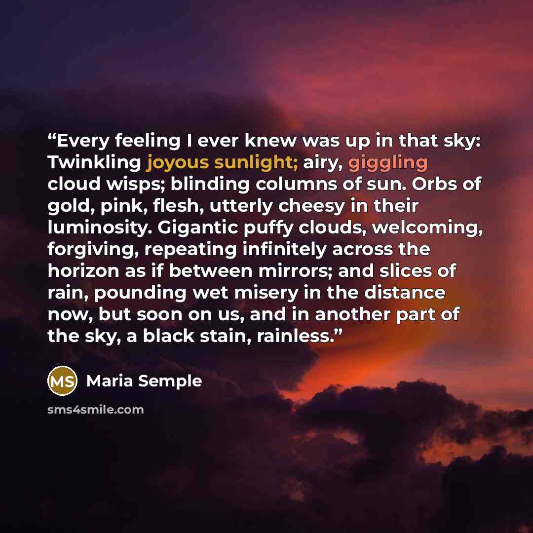 “Every feeling I ever knew was up in that sky: Twinkling joyous sunlight; airy, giggling cloud wisps; blinding columns of sun. Orbs of gold, pink, flesh, utterly cheesy in their luminosity. Gigantic puffy clouds, welcoming, forgiving, repeating infinitely across the horizon as if between mirrors…” quote by Maria Semple
