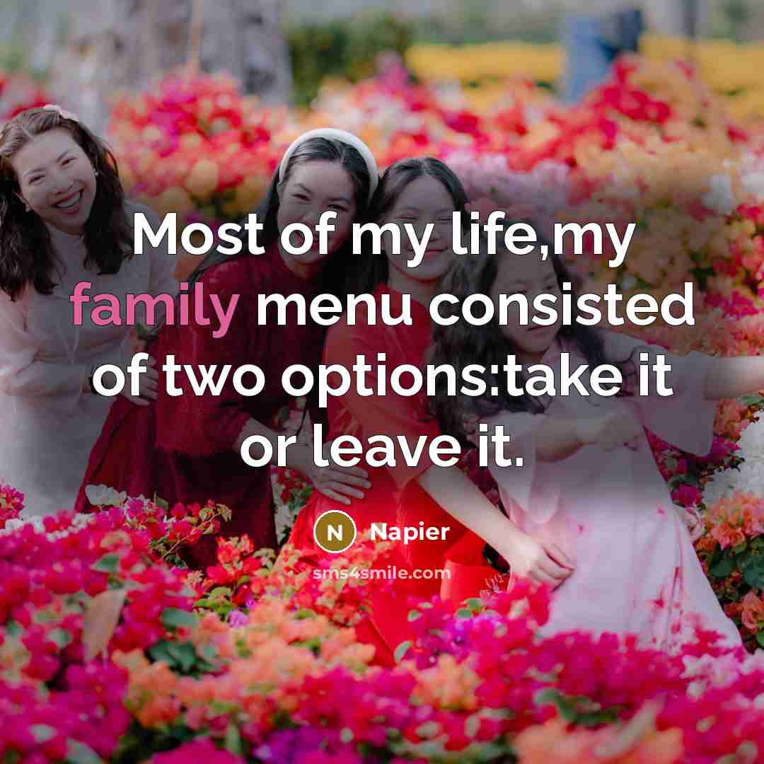 “Most of my life,my family menu consisted of two options:take it or leave it.” quote by Napier