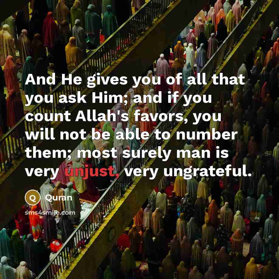 “And He gives you of all that you ask Him;…” quote by Quran