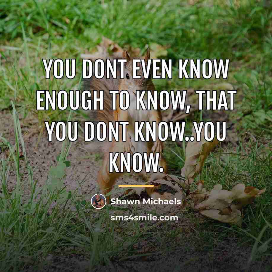 “You dont even know enough to know, that you dont…” quote by Shawn Michaels