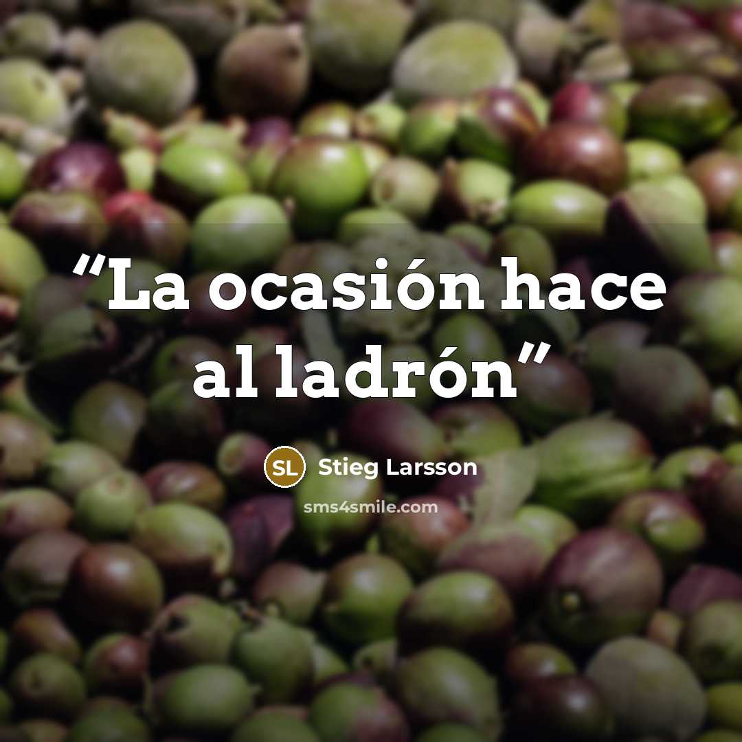 “La ocasión hace al ladrón” quote by Stieg Larsson