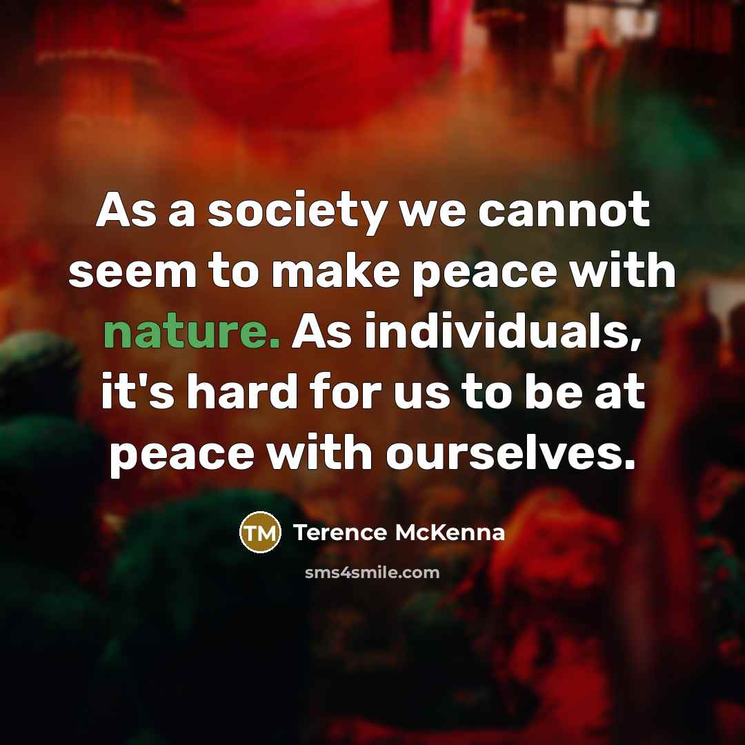 “As a society we cannot seem to make peace with…” quote by Terence McKenna