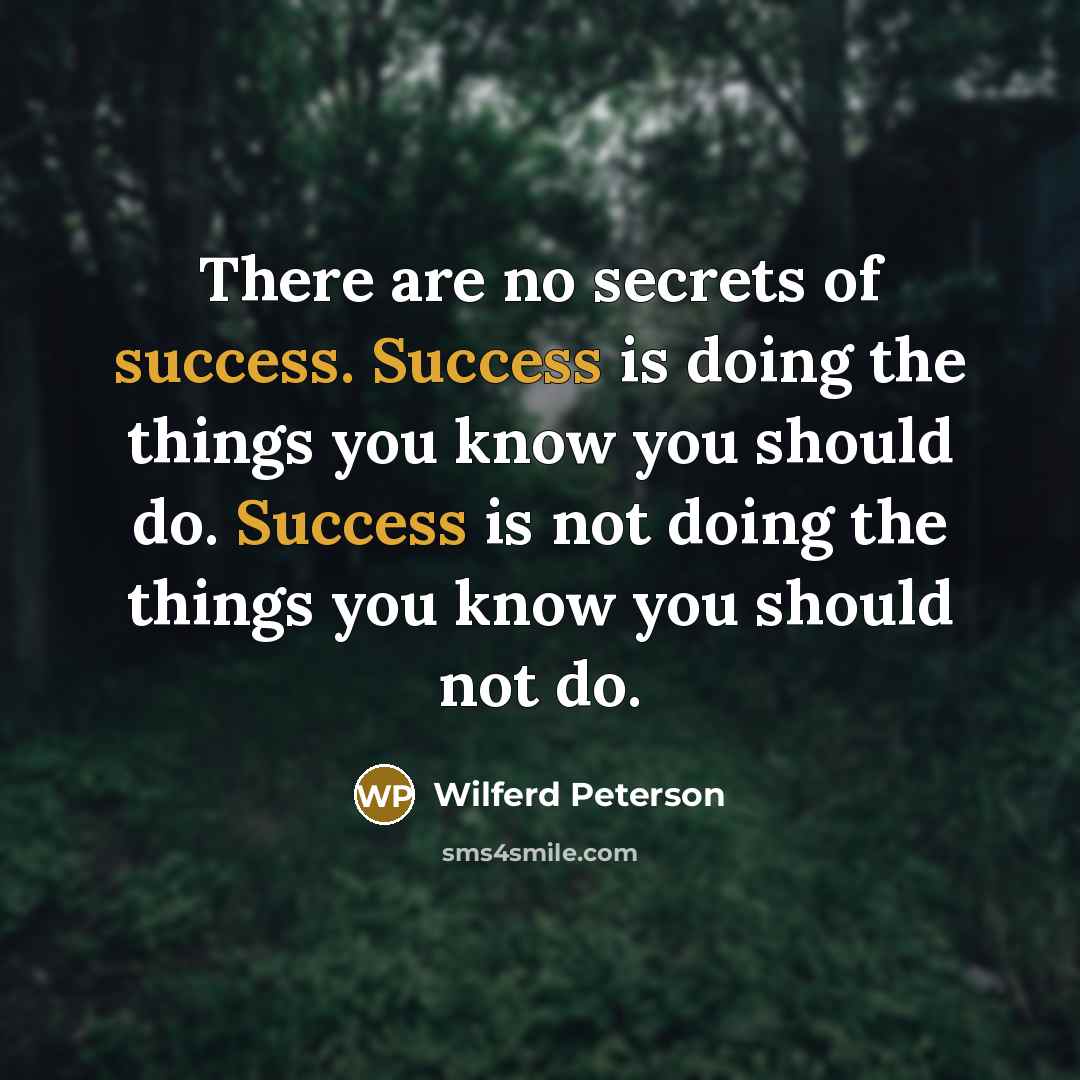 “There are no secrets of success. Success is doing the…” quote by Wilferd Peterson