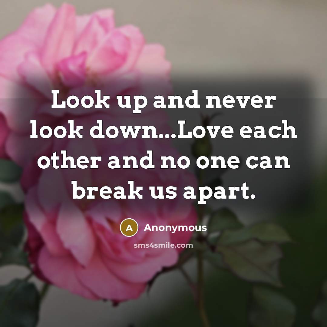 “Look up and never look down...Love each other and no one can break us apart.” quote by Anonymous