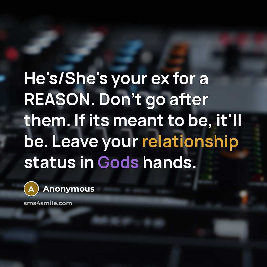 “He's/She's your ex for a REASON. Don't go after them. If its meant to be, it'll be. Leave your relationship status in Gods hands.” quote by Anonymous