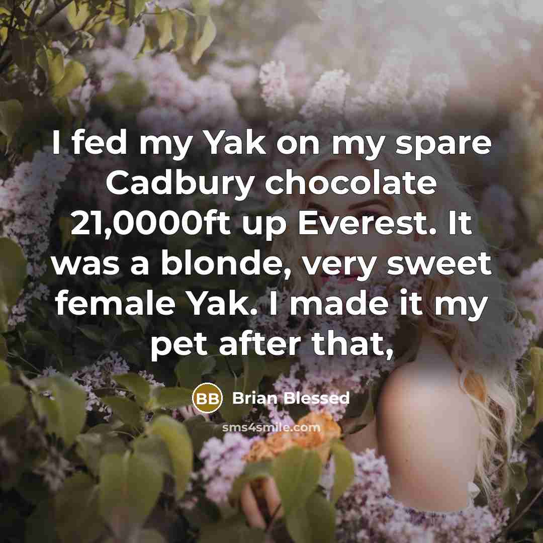 “I fed my Yak on my spare Cadbury chocolate 21,0000ft…” quote by Brian Blessed