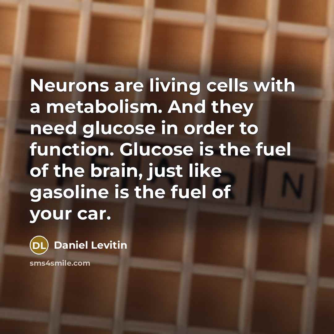 “Neurons are living cells with a metabolism. And they need…” quote by Daniel Levitin