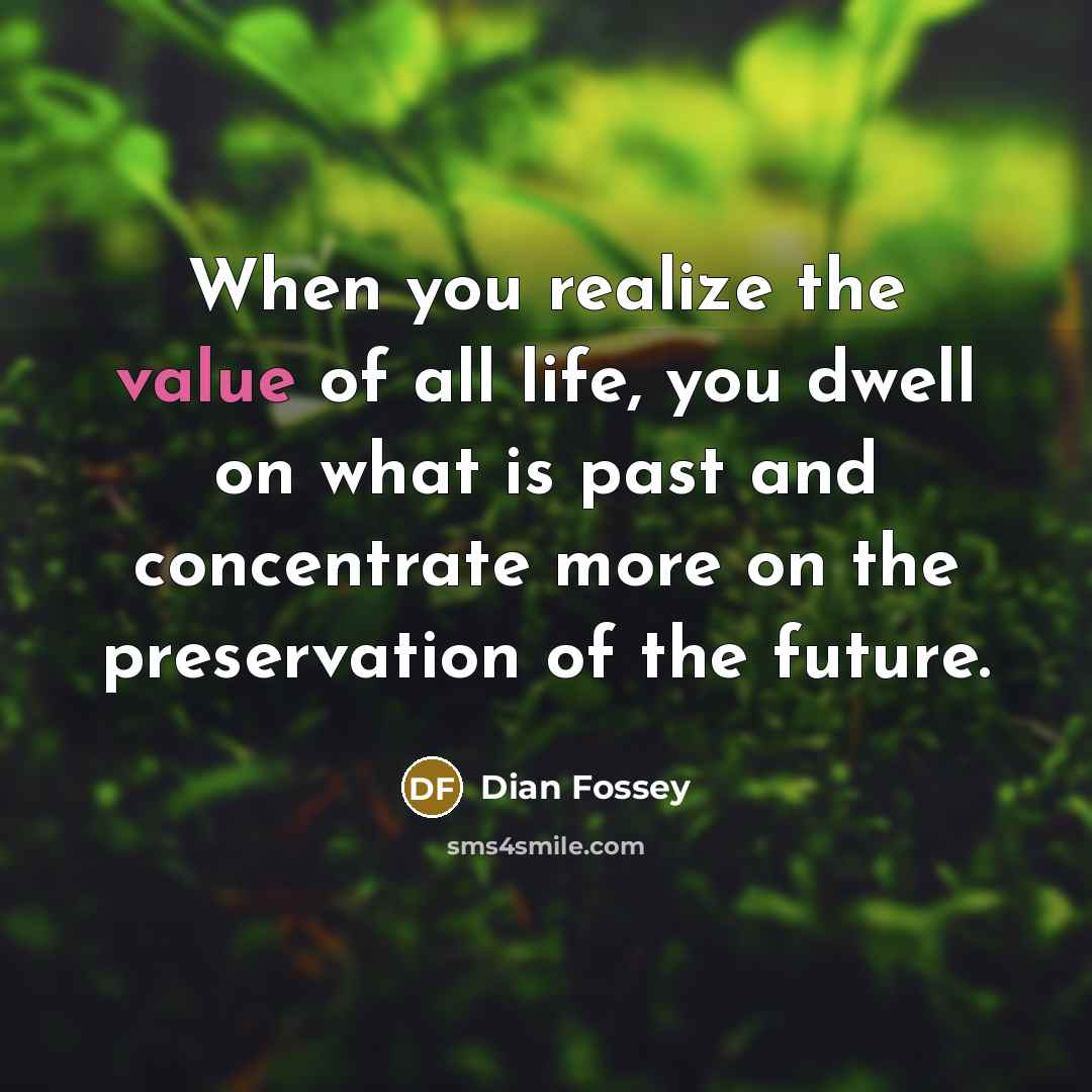 “When you realize the value of all life, you dwell…” quote by Dian Fossey