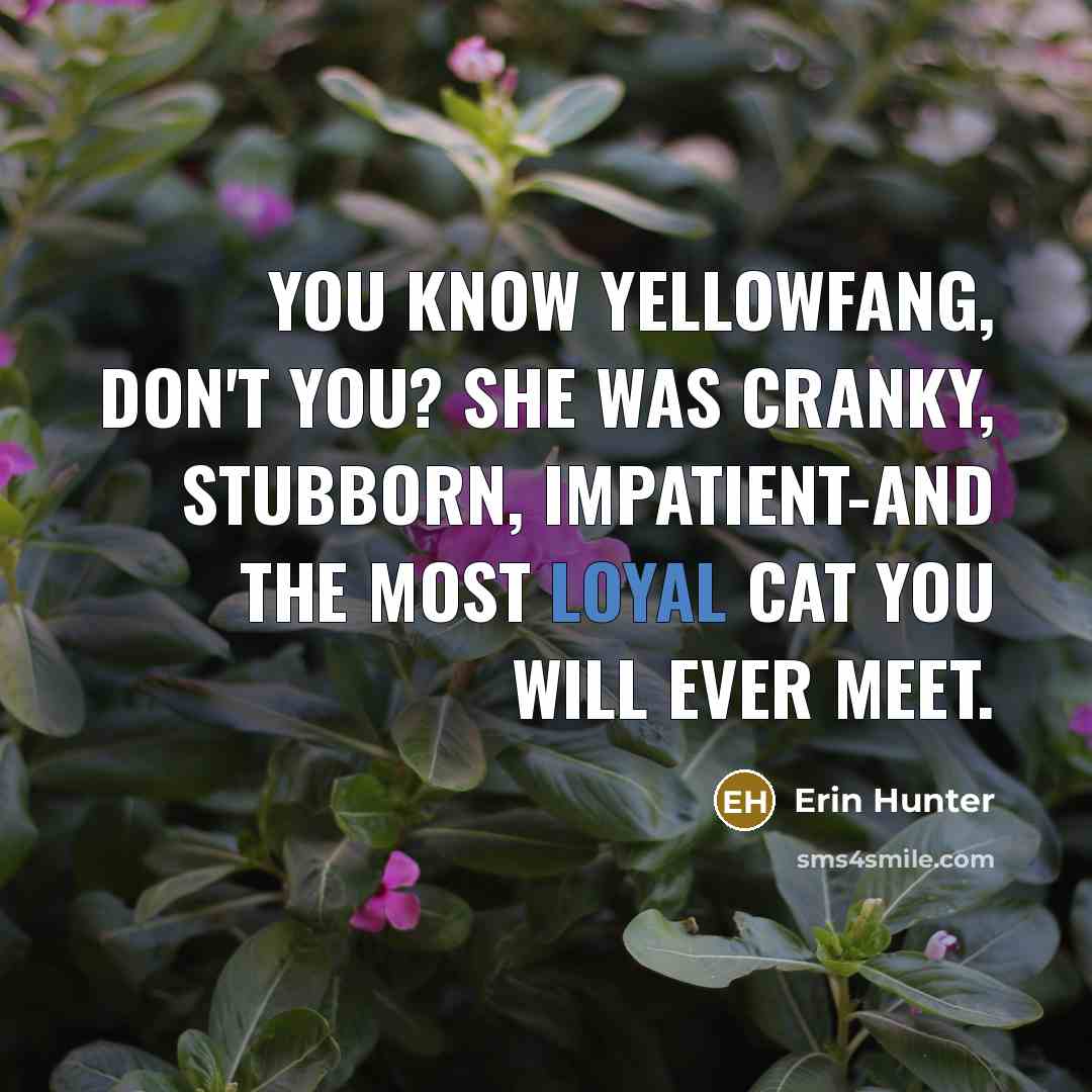 “You know Yellowfang, don't you? she was cranky, stubborn, impatient-and…” quote by Erin Hunter