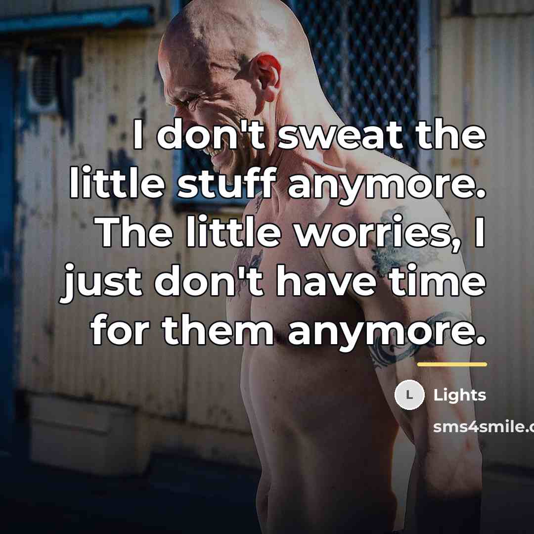 “I don't sweat the little stuff anymore. The little worries,…” quote by Lights