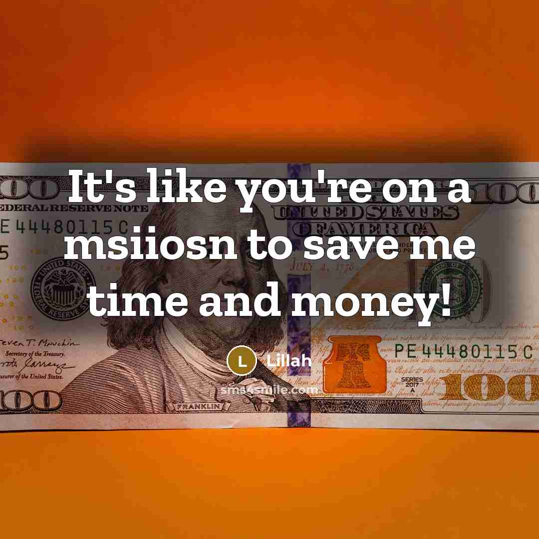 “It's like you're on a msiiosn to save me time and money!” quote by Lillah
