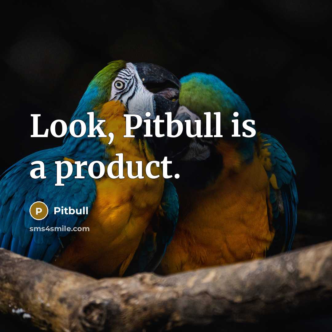 “Look, Pitbull is a product.” quote by Pitbull