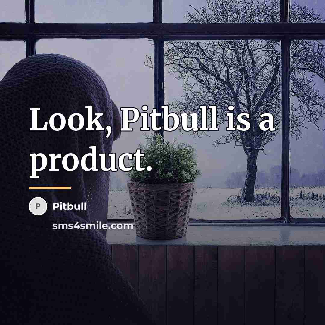 “Look, Pitbull is a product.…” quote by Pitbull