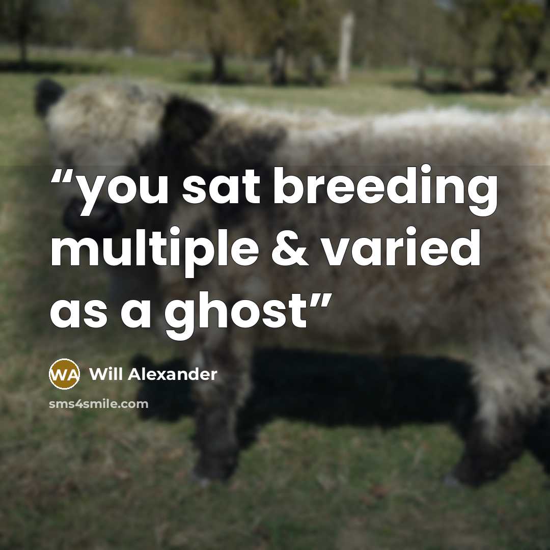 “you sat breeding multiple & varied as a ghost” quote by Will Alexander