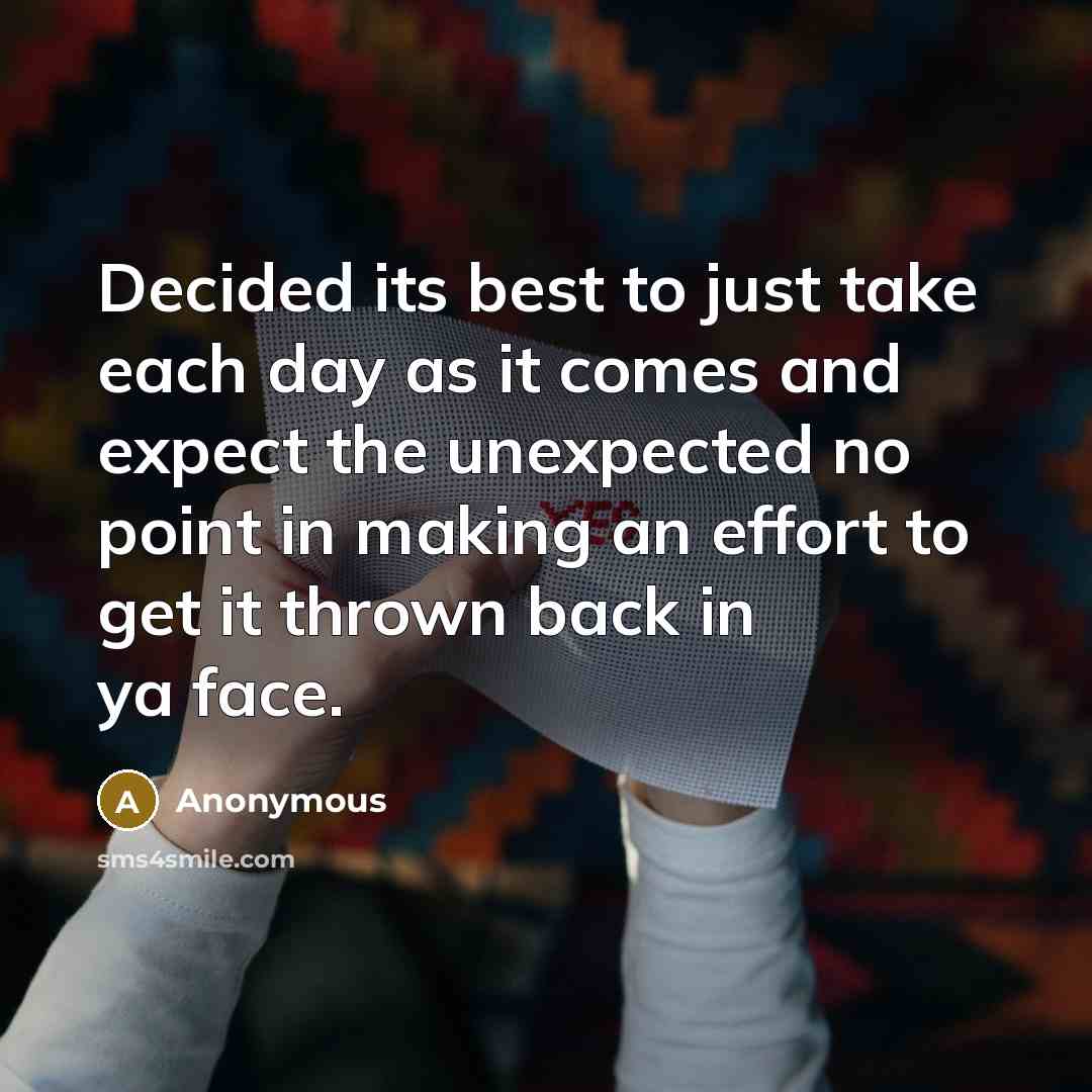 “Decided its best to just take each day as it comes and expect the unexpected no point in making an effort to get it thrown back in ya face.” quote by Anonymous