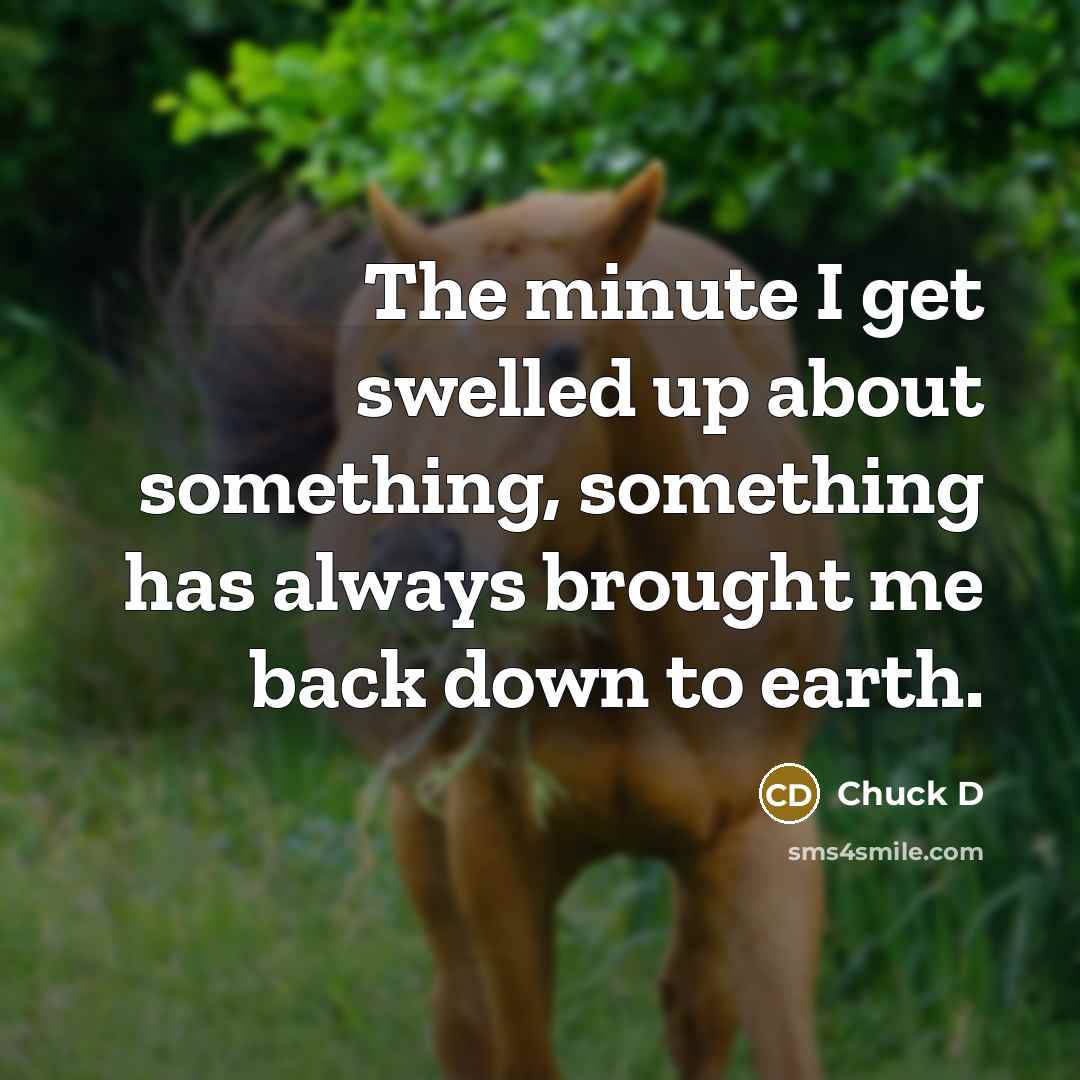 “The minute I get swelled up about something, something has always brought me back down to earth.” quote by Chuck D