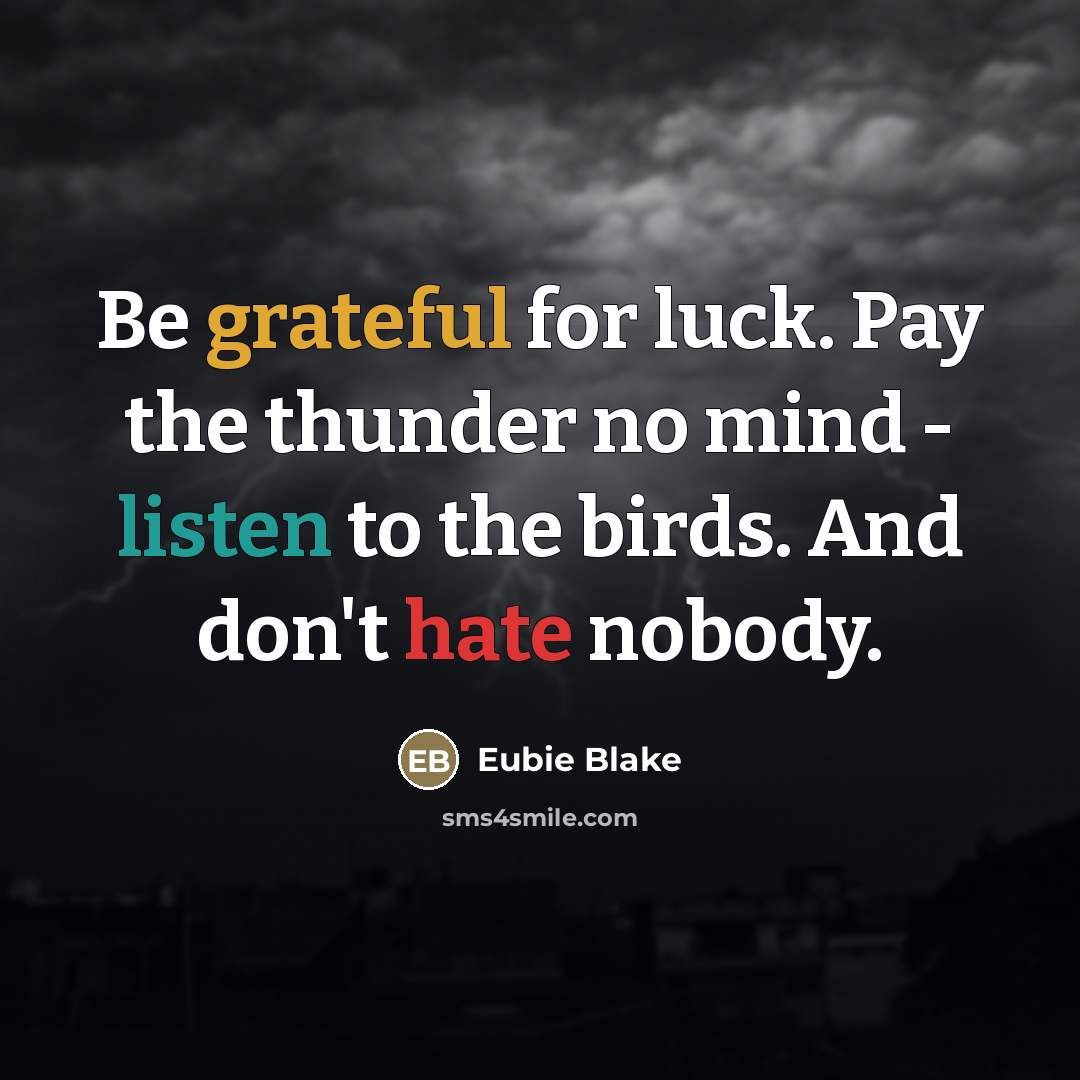 “Be grateful for luck. Pay the thunder no mind -…” quote by Eubie Blake