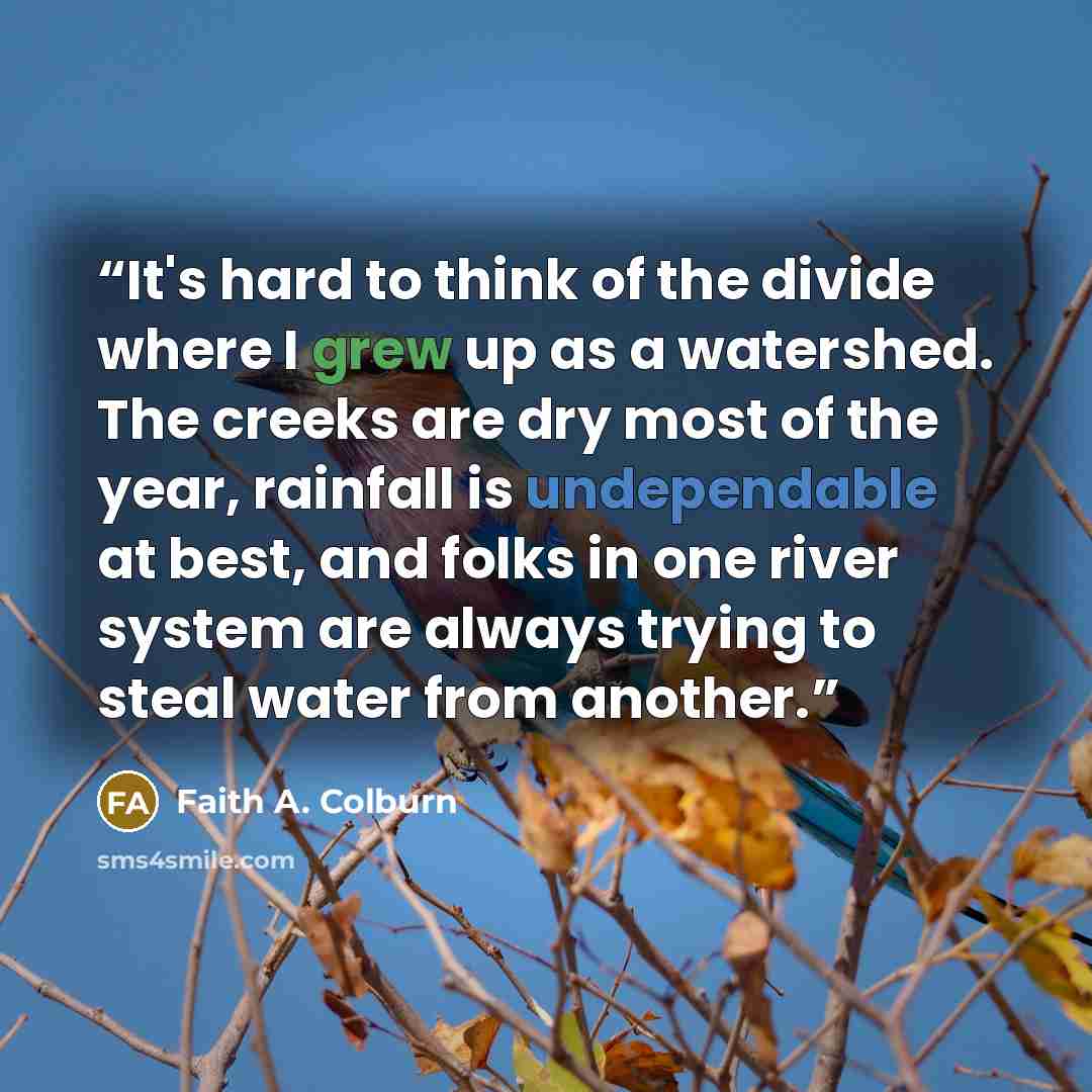 “It's hard to think of the divide where I grew up as a watershed. The creeks are dry most of the year, rainfall is undependable at best, and folks in one river system are always trying to steal water from another.” quote by Faith A. Colburn