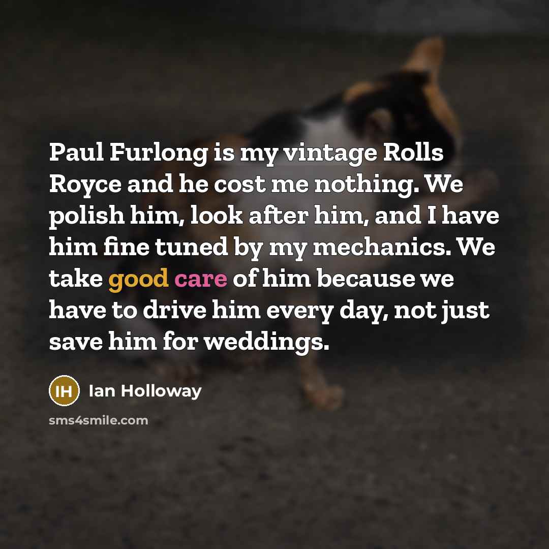 “Paul Furlong is my vintage Rolls Royce and he cost…” quote by Ian Holloway