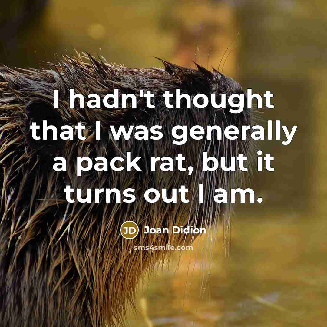 “I hadn't thought that I was generally a pack rat,…” quote by Joan Didion
