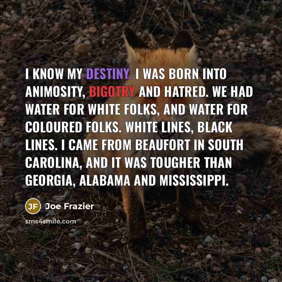 “I know my destiny. I was born into animosity, bigotry…” quote by Joe Frazier