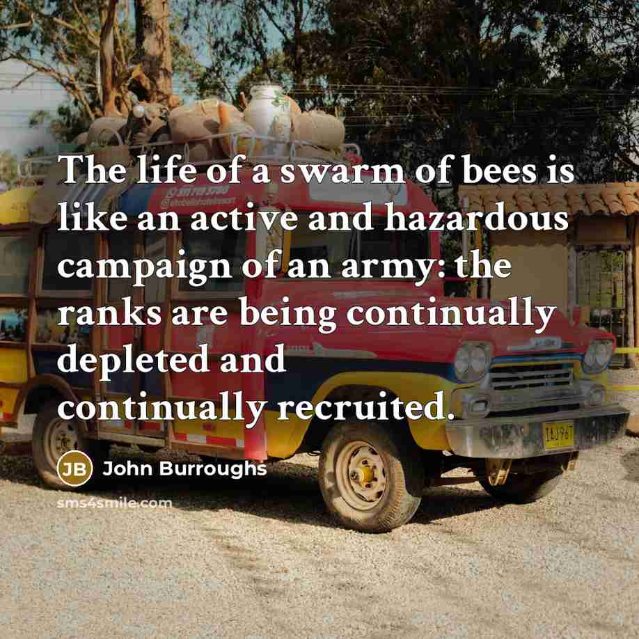 “The life of a swarm of bees is like an…” quote by John Burroughs