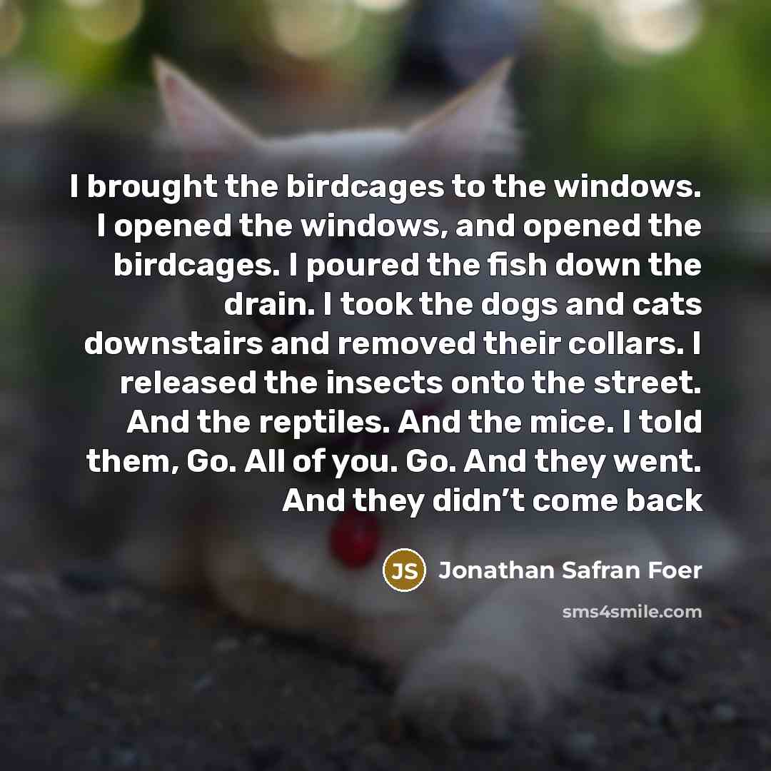 “I brought the birdcages to the windows. I opened the…” quote by Jonathan Safran Foer