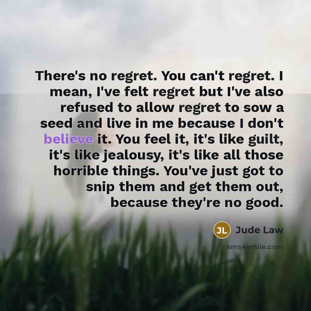 “There's no regret. You can't regret. I mean, I've felt…” quote by Jude Law